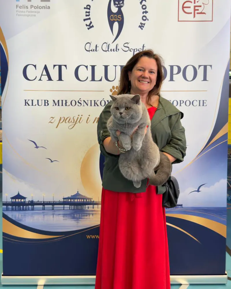 Olinek z właścicielką na wystawie Cat Club Sopot